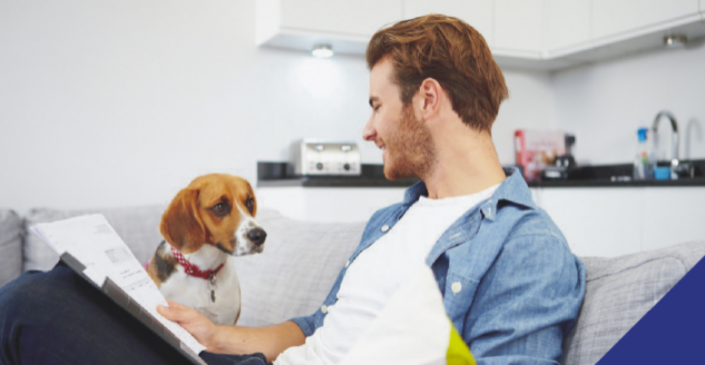 The importance of pet insurance in Guildford
