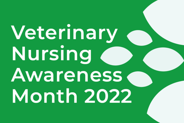 Veterinary Nursing Awareness Month at Oak Barn Vets