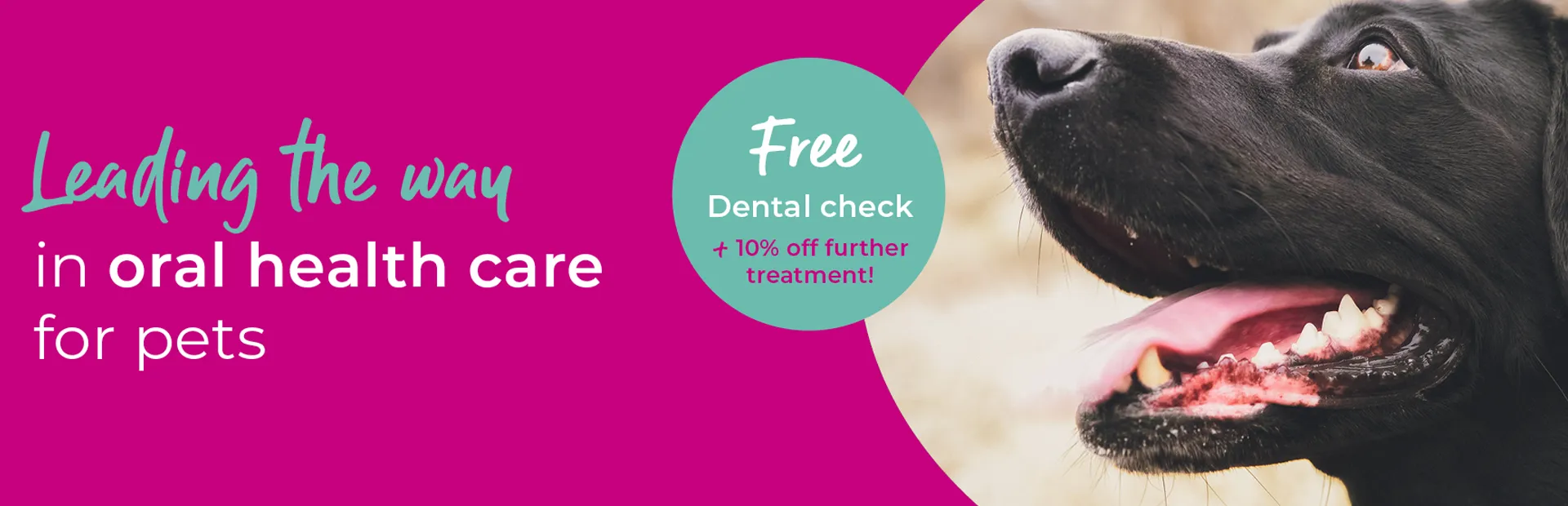 Vets in Guildford | Vets in Surrey | Oak Barn Vets