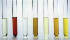Different urine concentration samples
