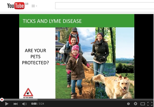 Lymes Video