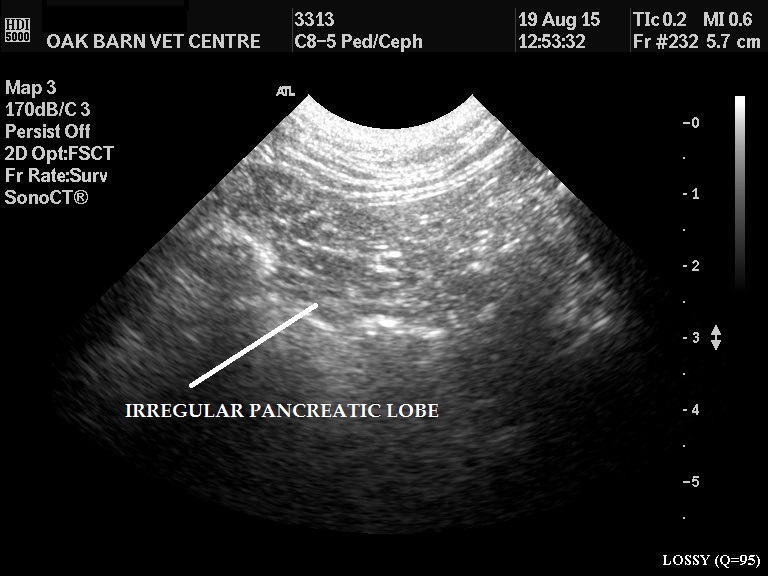 Ultrasound image EDIT