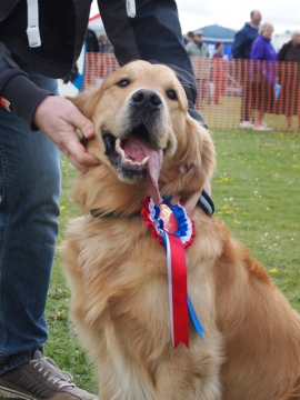 Easter Dog Show Photos and News!