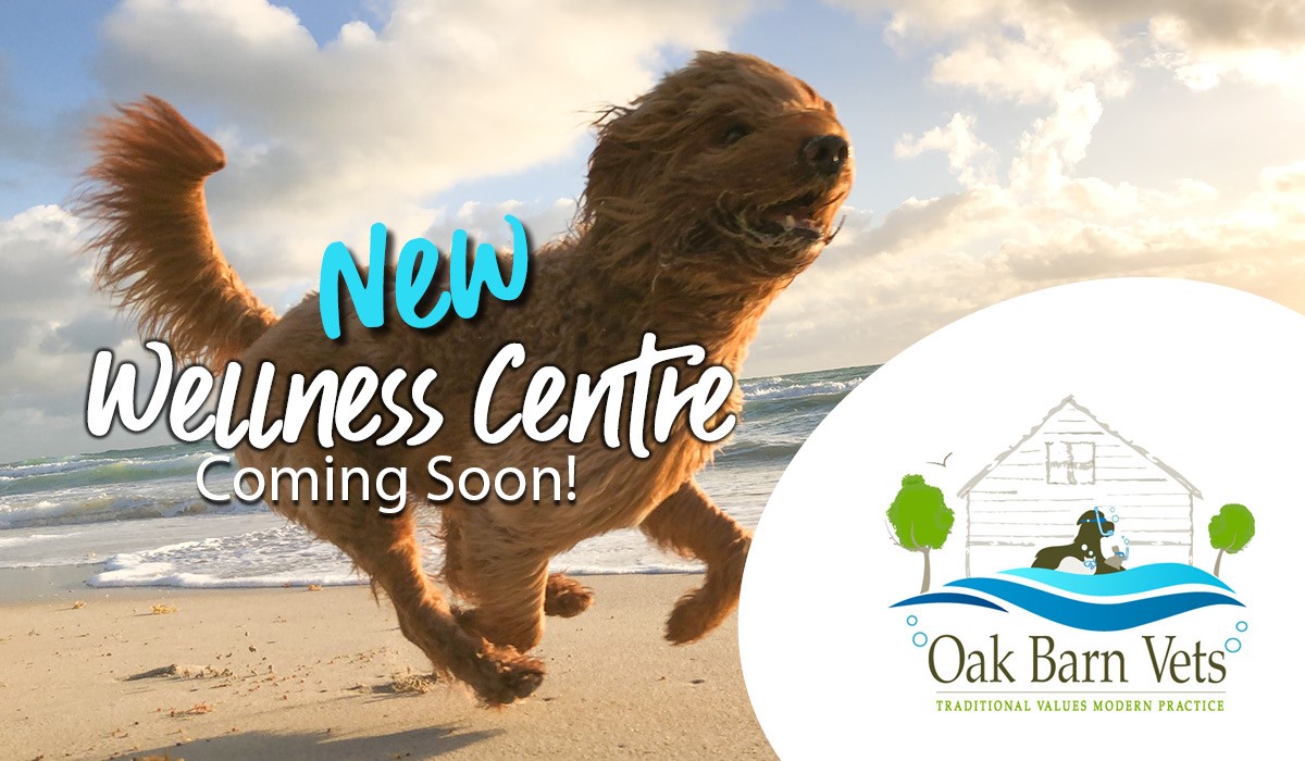 The Wellness Centre is coming soon!