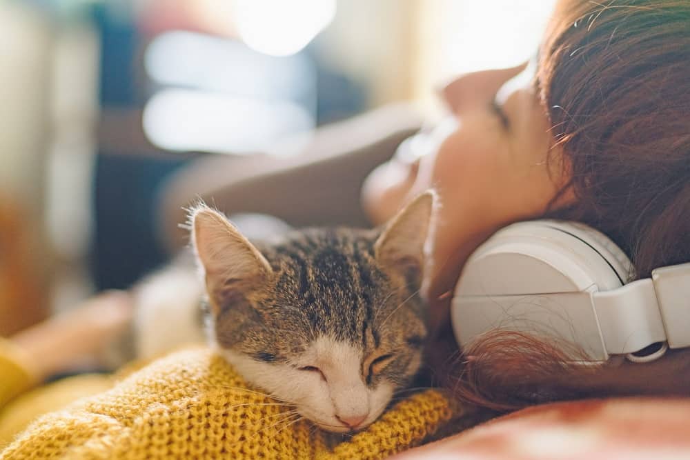 How pets contribute to our Mental Well being
