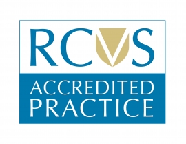 We're a RCVS accredited practice!