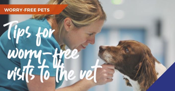 Tips for worry-free visits to the vet