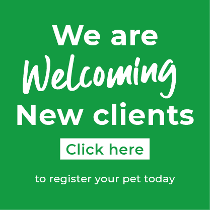 We are welcoming new clients