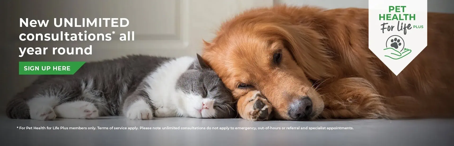 Vets in Guildford | Vets in Surrey | Oak Barn Vets